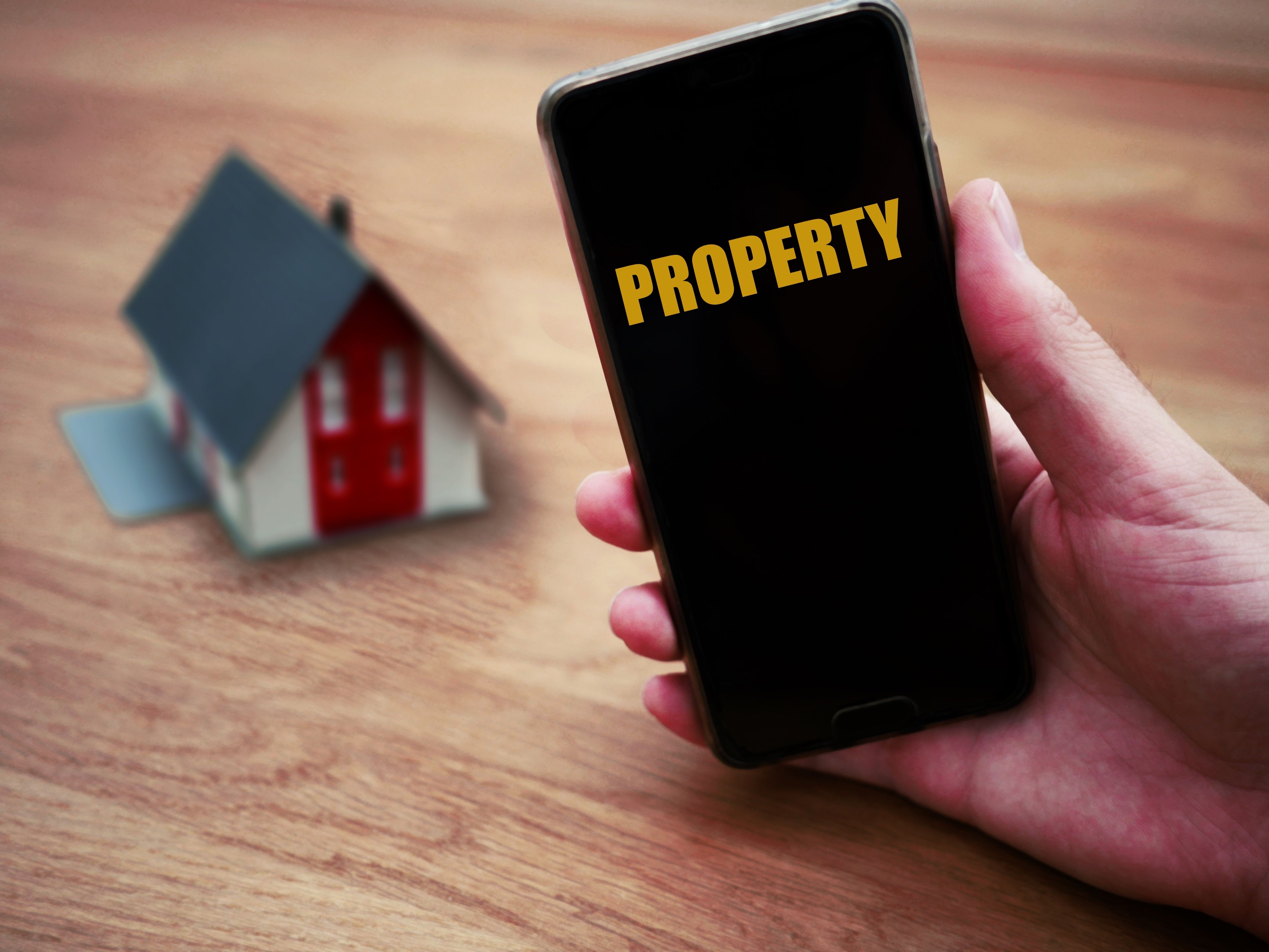 Schedule of Separate Property